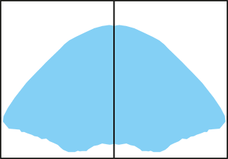 Extensive Distribution